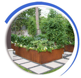 Corten steel raised beds